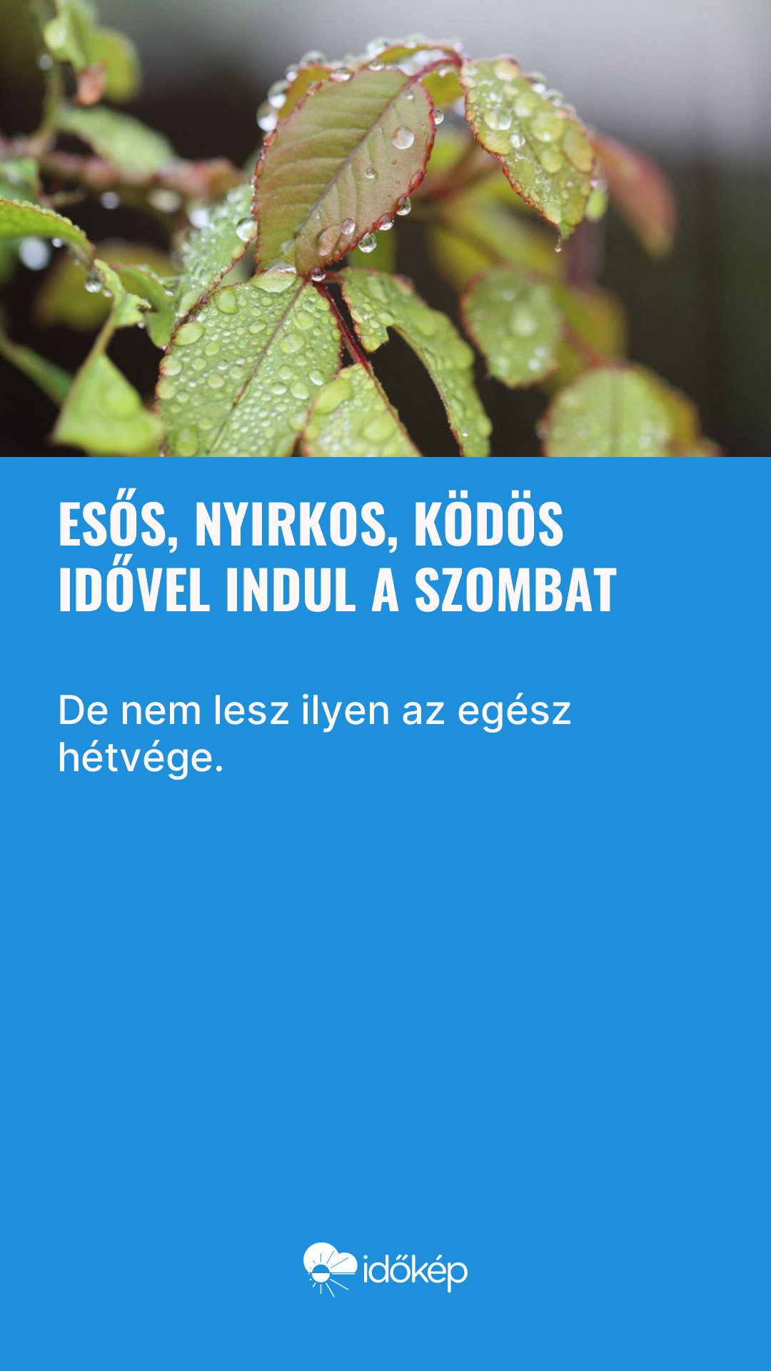 Esős, nyirkos, ködös idővel indul a szombat