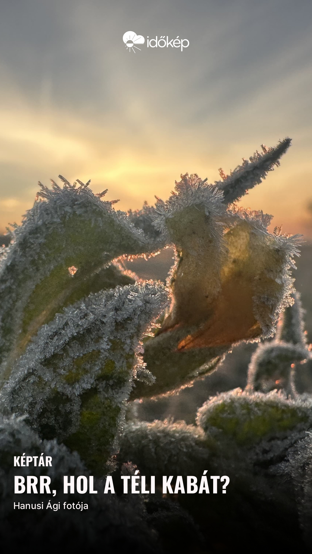 Brr, hol a téli kabát?