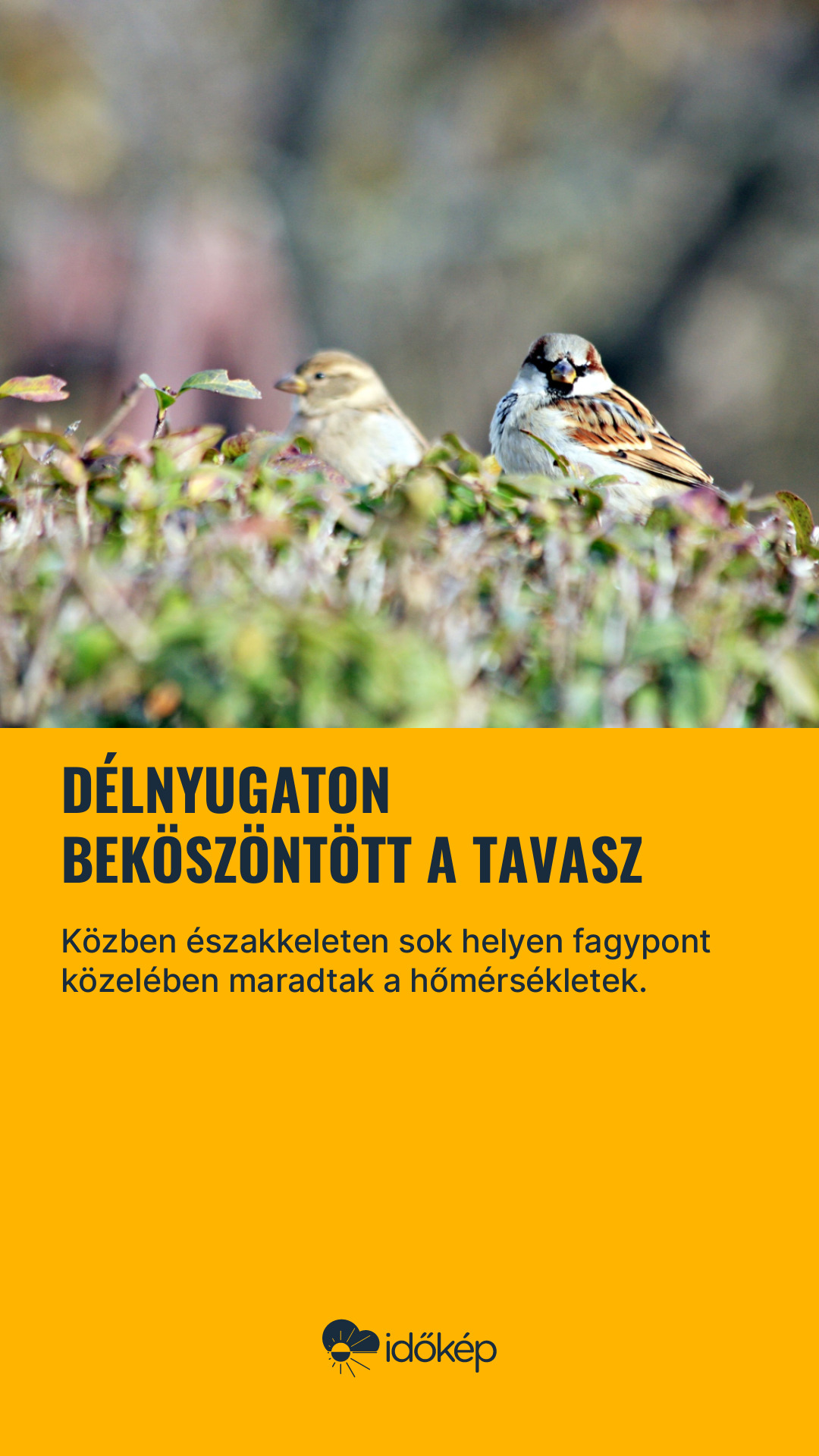 Délnyugaton beköszöntött a tavasz