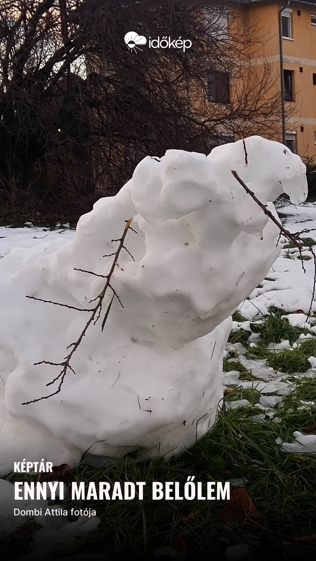 Ennyi maradt belőlem