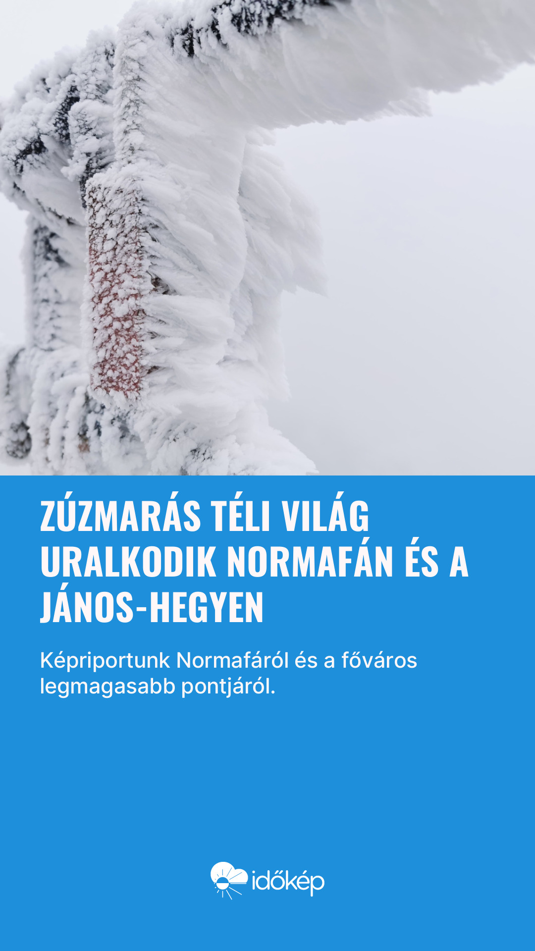 Zúzmarás téli világ uralkodik Normafán és a János-hegyen