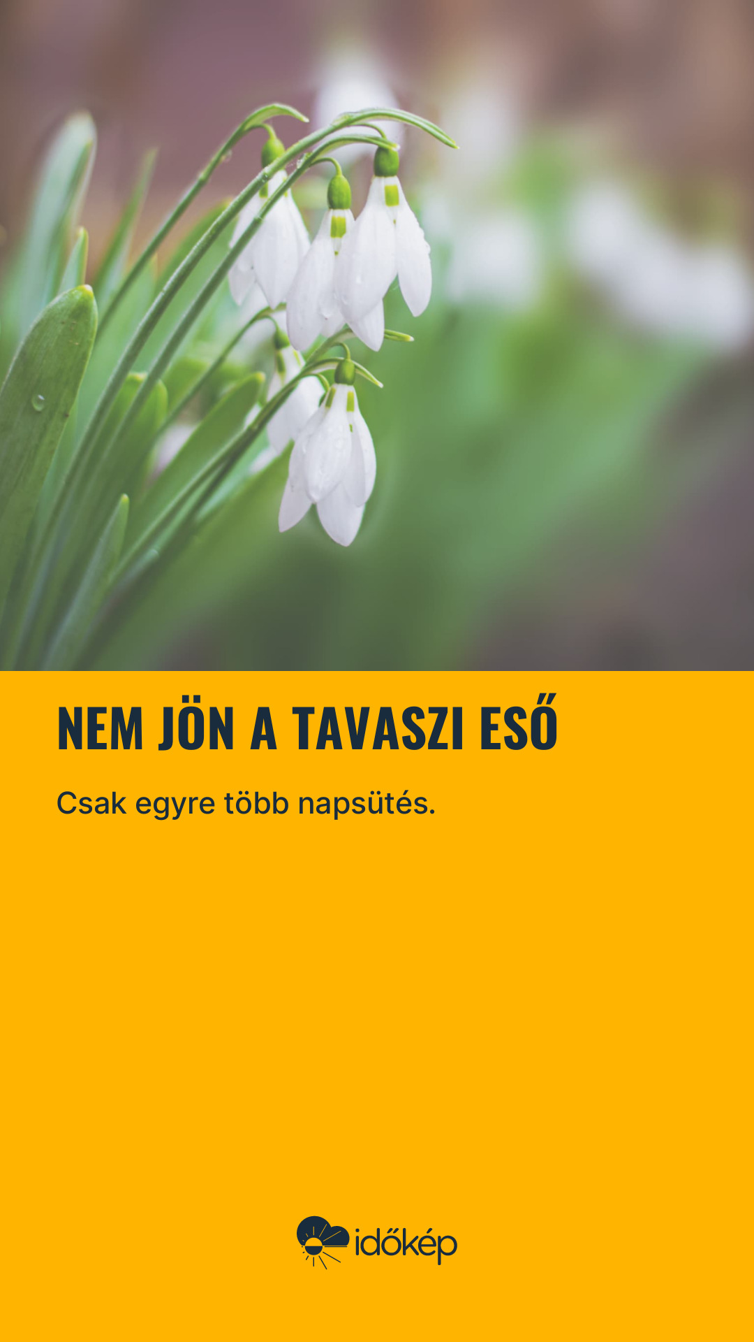 Nem jön a tavaszi eső