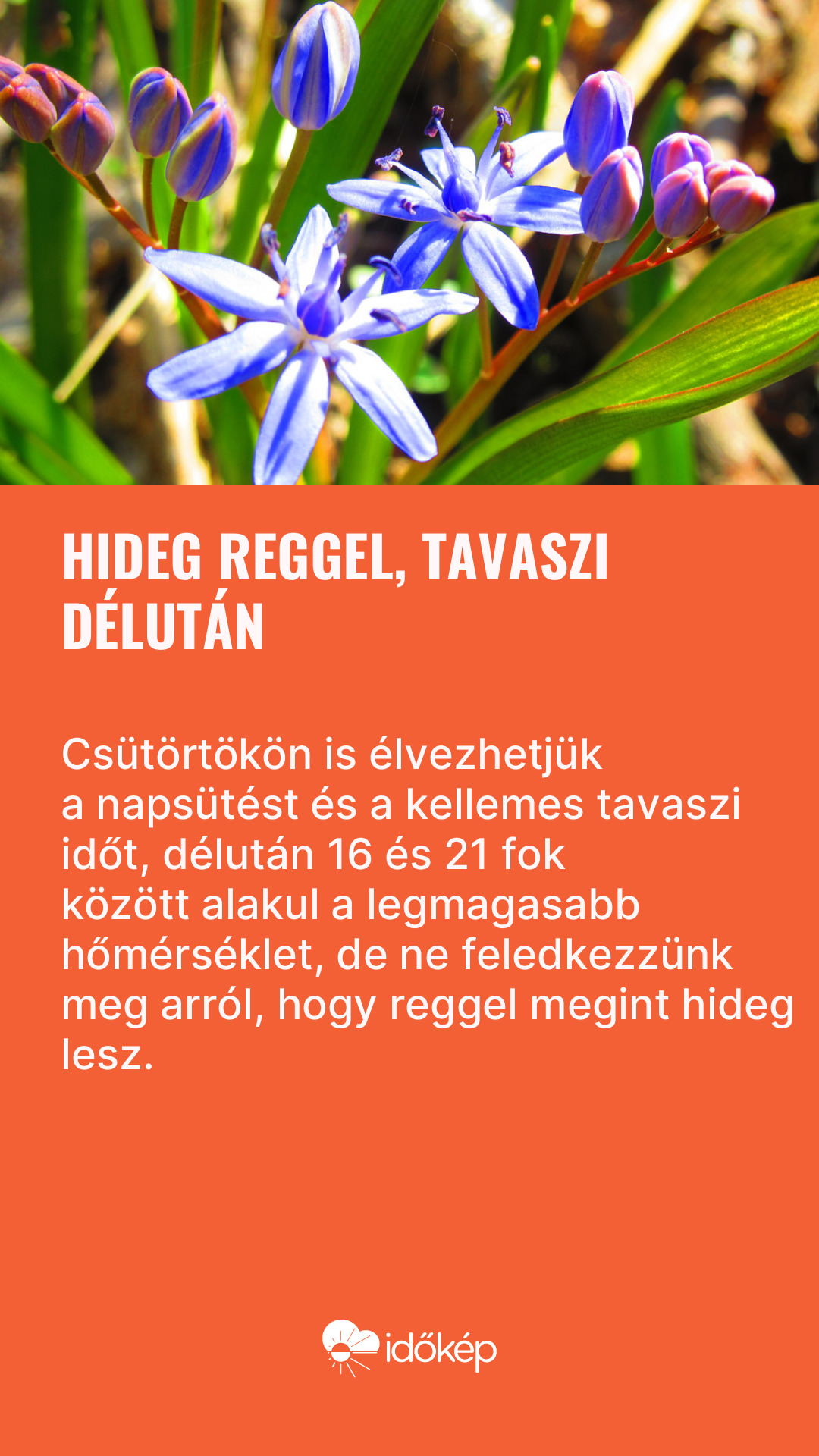 Hideg reggel, tavaszi délután