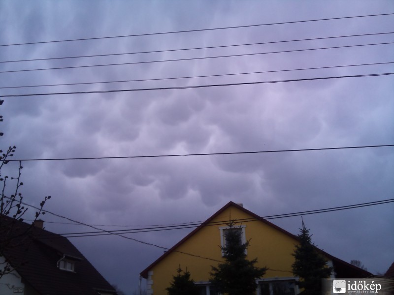 Mammatus?