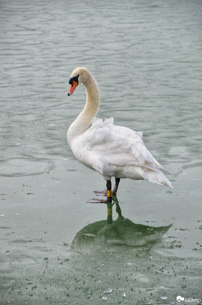 Balatonszemes