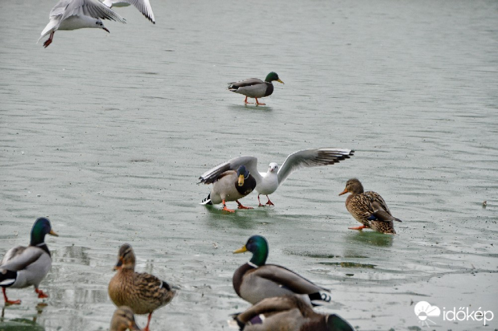 Balatonszemes