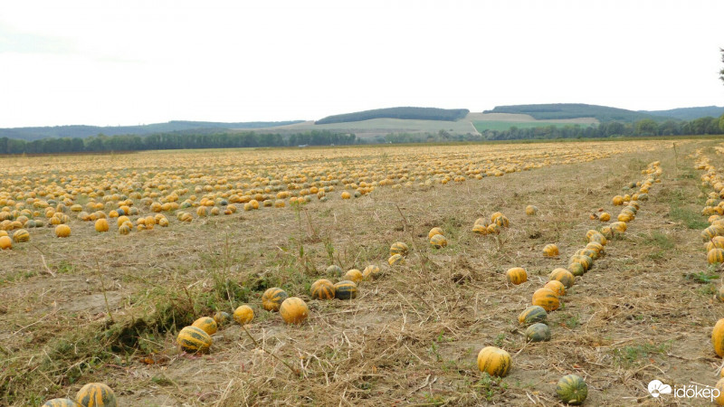 Moldava nad Bodvou