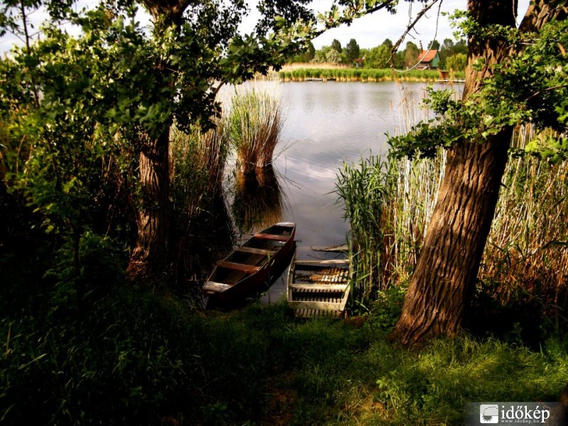 Cibakháza Holt-Tisza