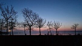 Balatonföldvár