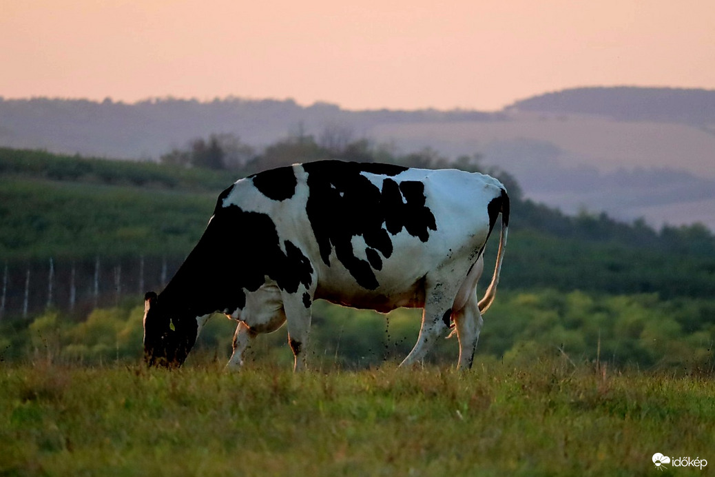 Őszies naplemente.