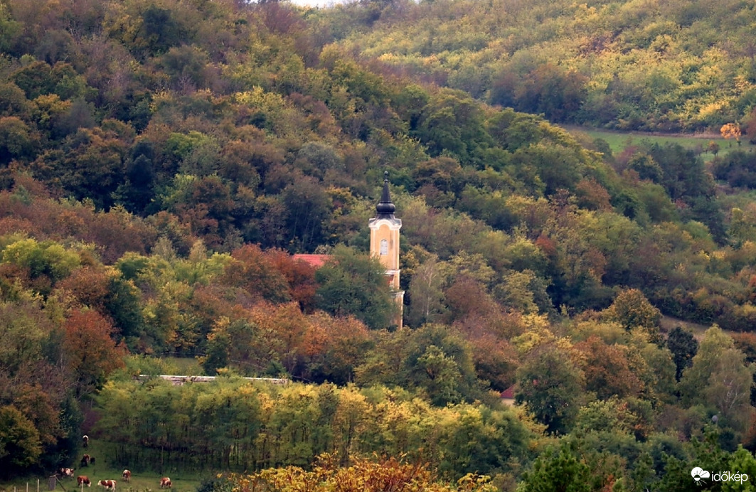 Ősz a Völgységben