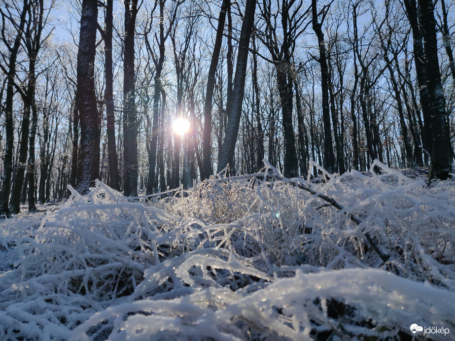 Tavaszváró