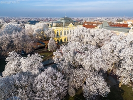 A zúzmarás főtér