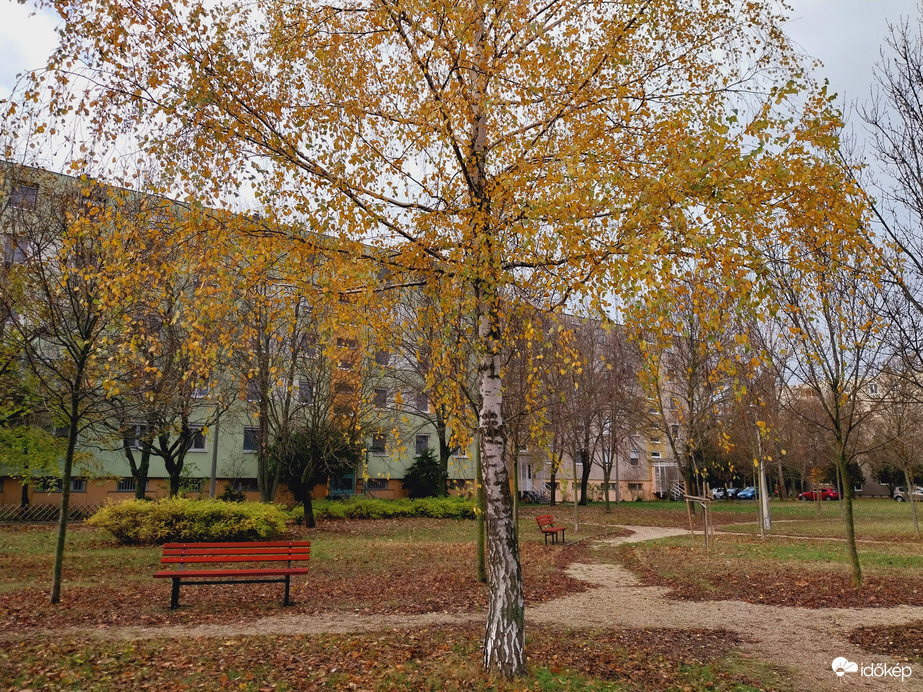 Szeged délután.