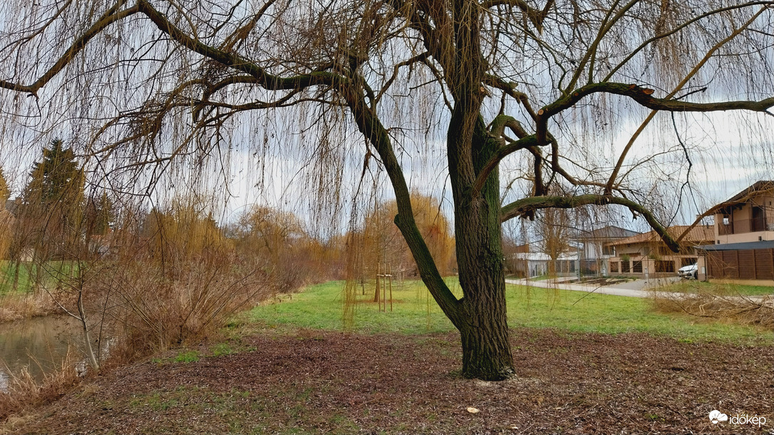 Szeged délután.