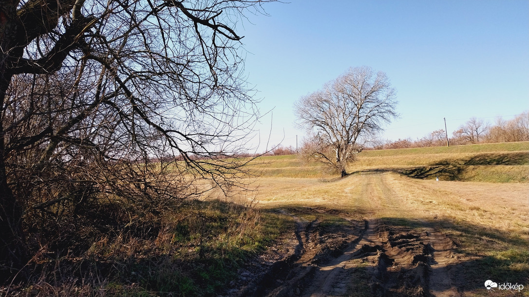 Rákóczi-telep