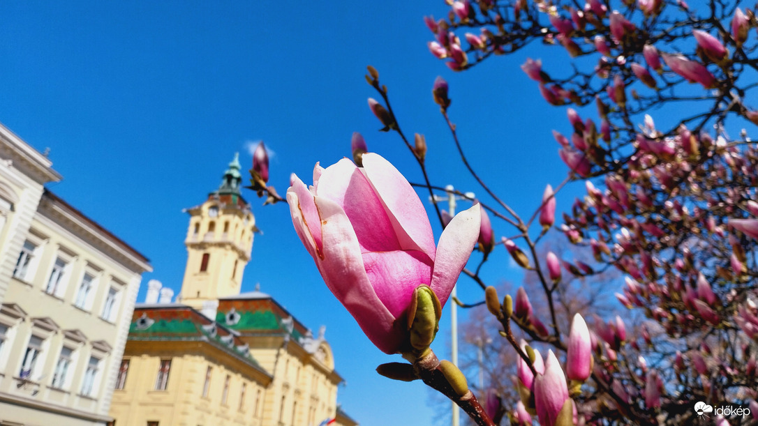 Szeged