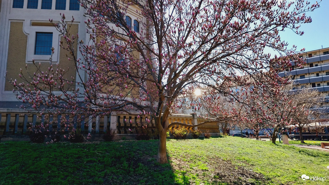 Szeged