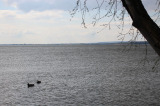 Balatongyörök