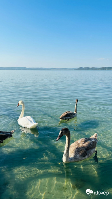 Balatonföldvár