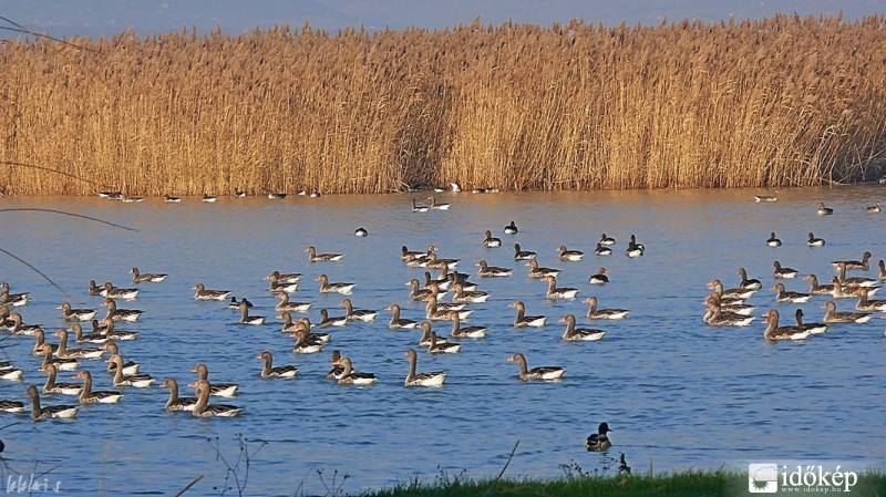 Egy kis pihenő út közben