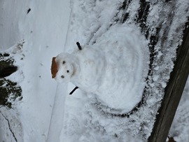 Snowman :)