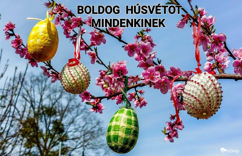 Boldog HÚSVÉTOT kívánok mindenkinek 