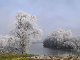 Nyíregyháza