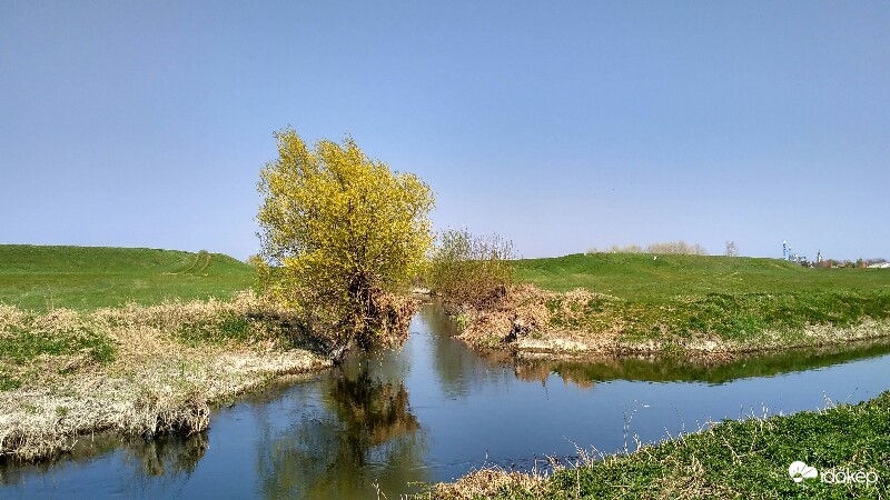 Tarna-Zagyva torkolat