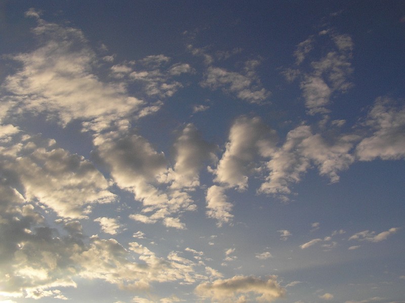 Altocumulus