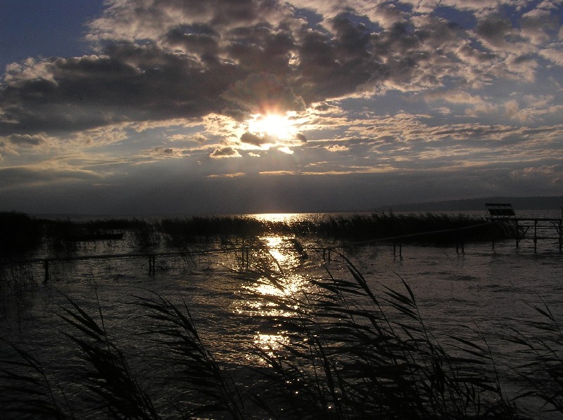 Balatonfenyvesi naplemente