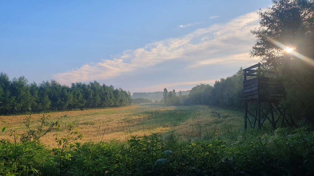 Babosdöbréte