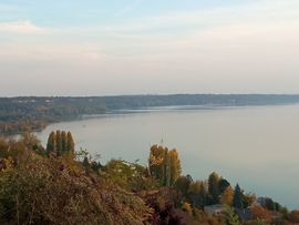 Balaton