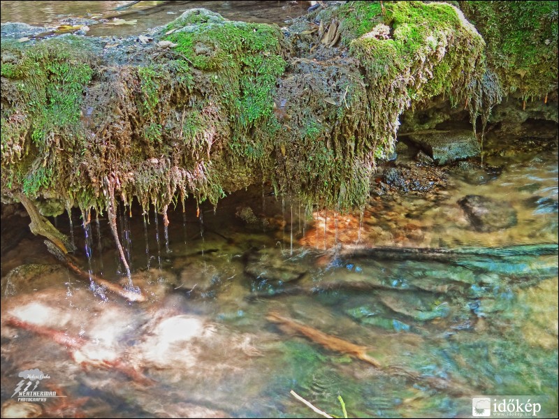 A Vizes moha szakáll :)