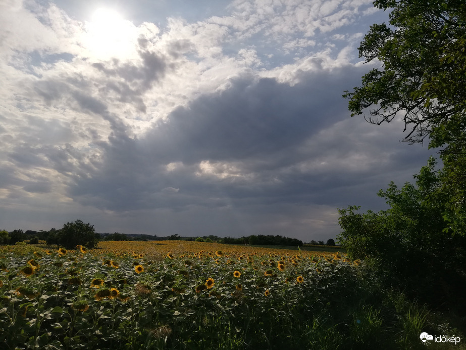 Polgárdi, hátha lesz eső, 