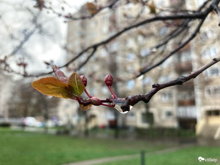 Budapest IV.ker - Újpest