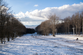 Életkép a november-végi Kékestetőn