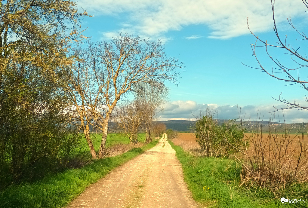 Lonesome road 