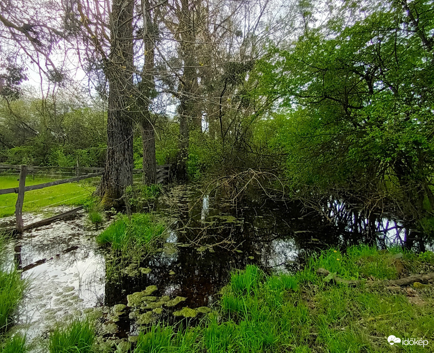 Water holes