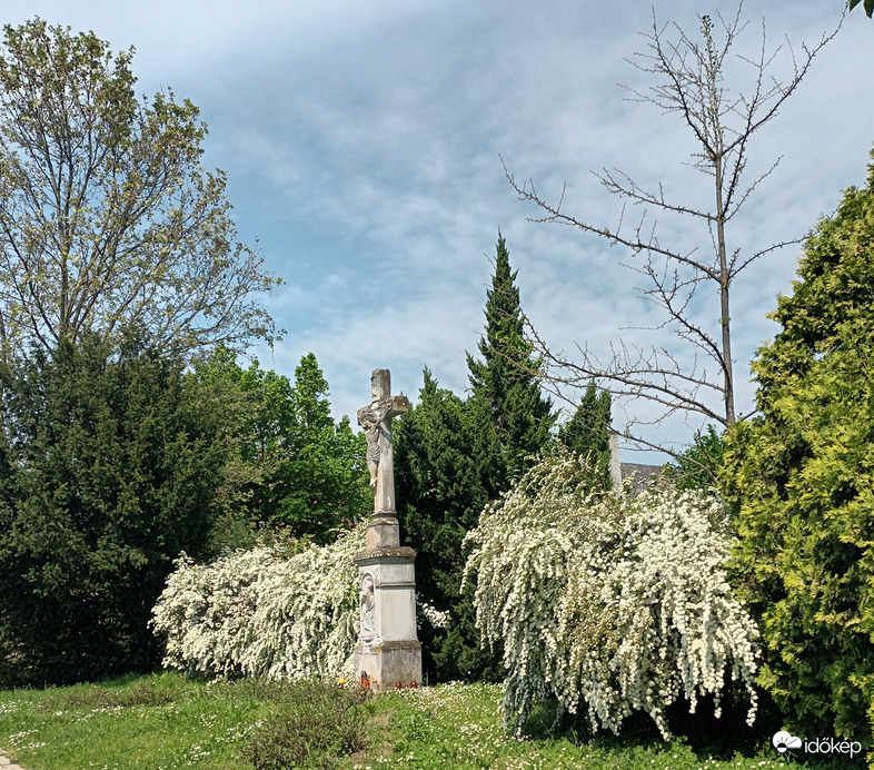 Cascade of white 