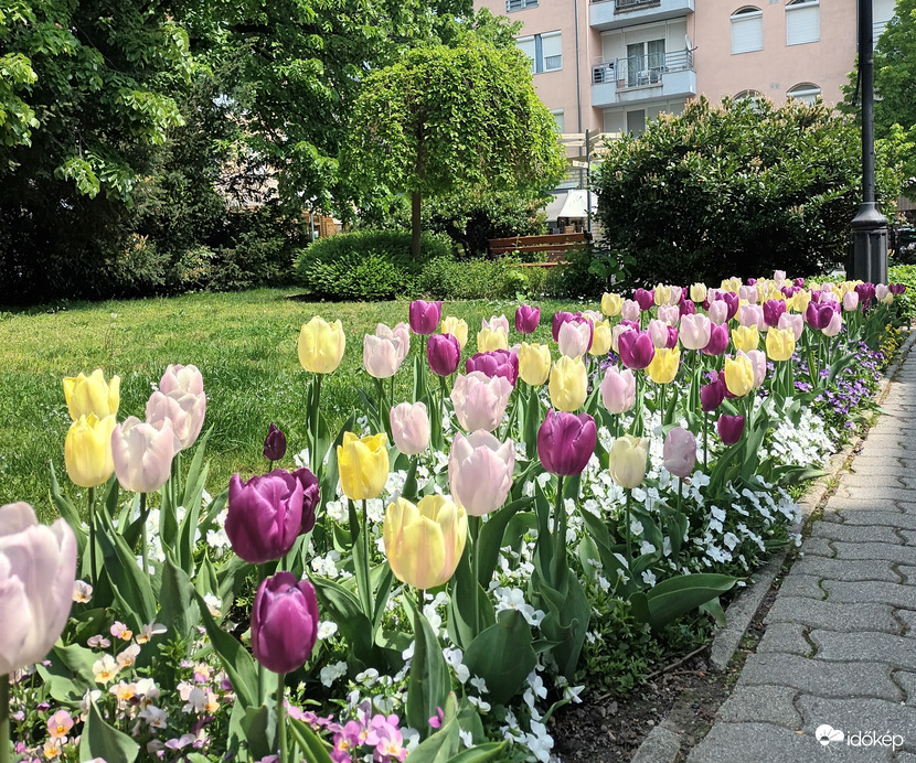 Trail of colour 