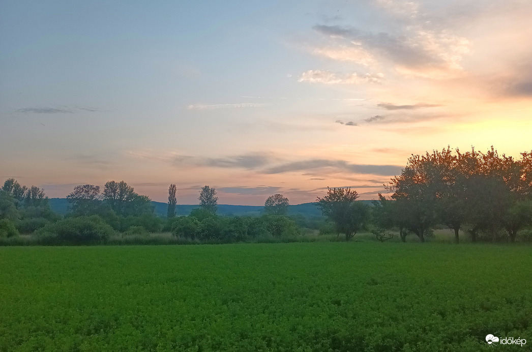 Misty evening 