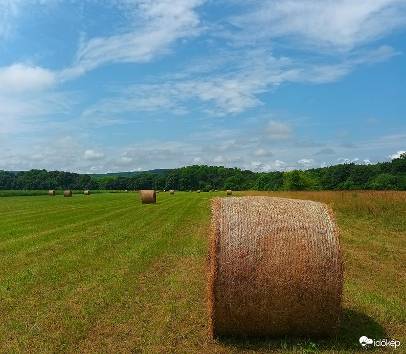 Making Hay