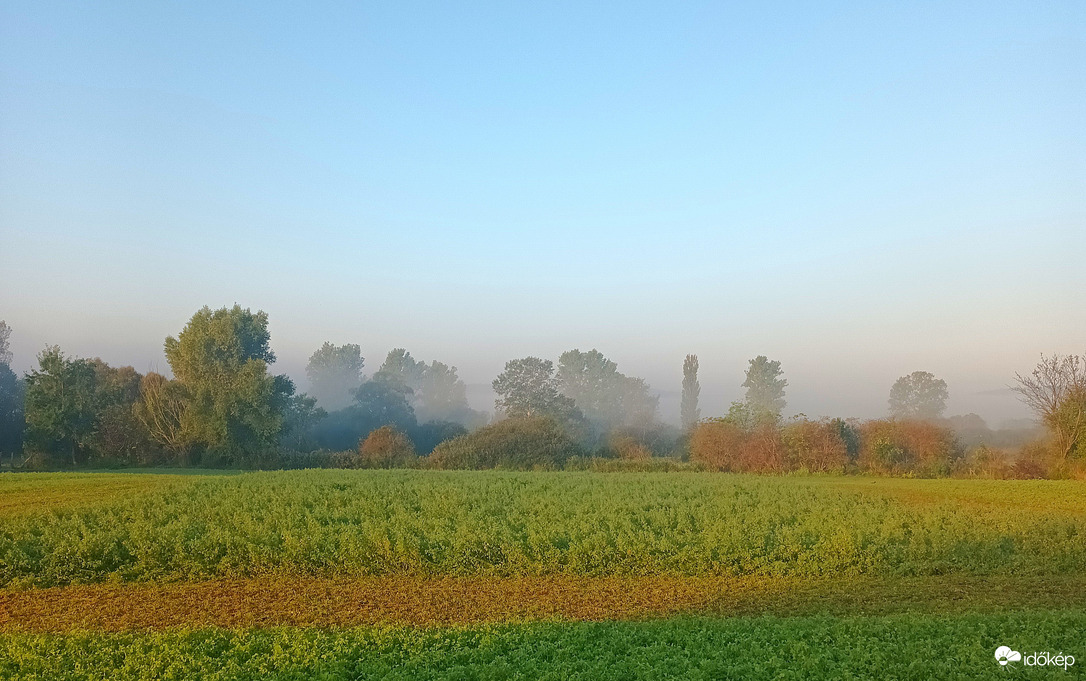 Misty morning 