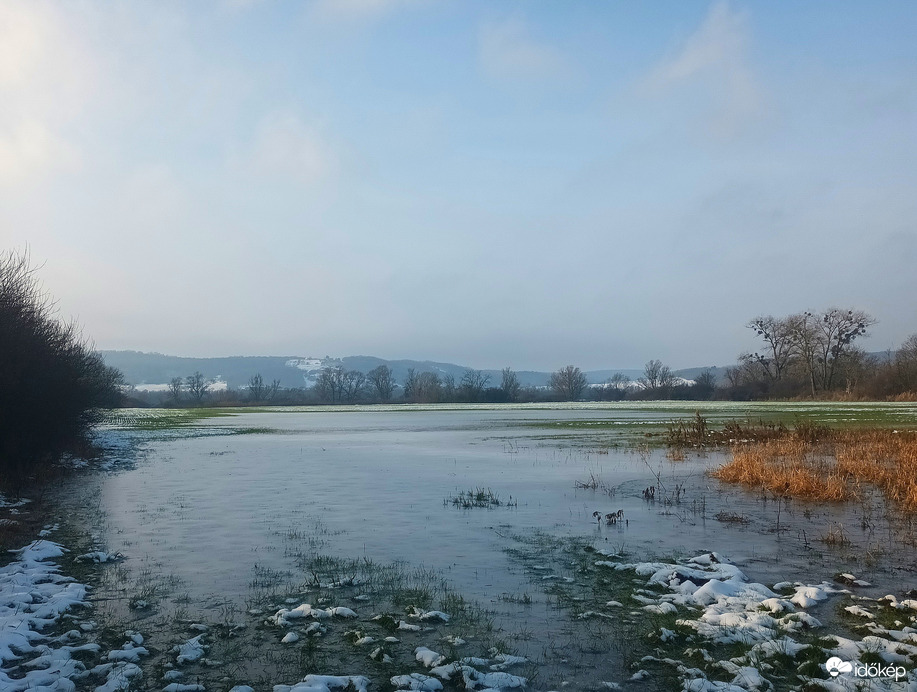 Flooded field 