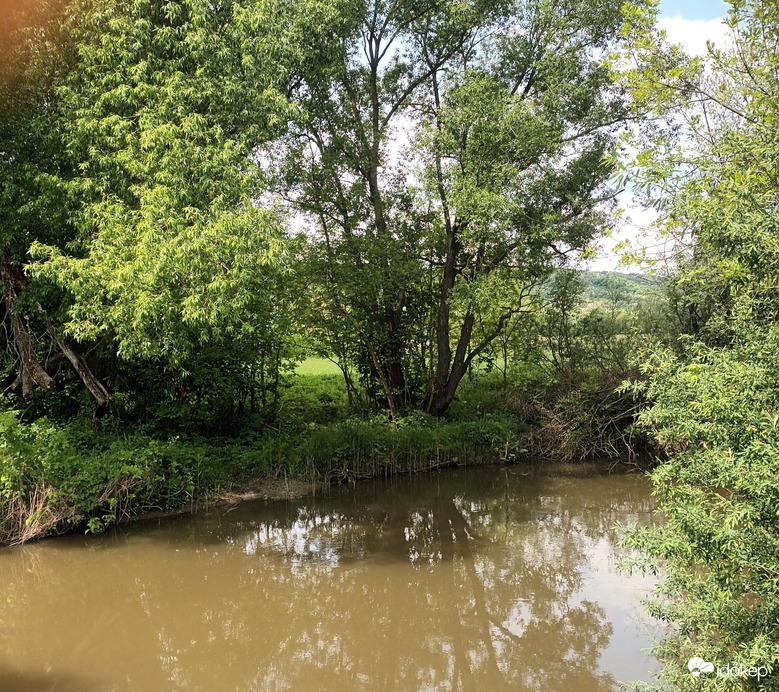 The river was calm