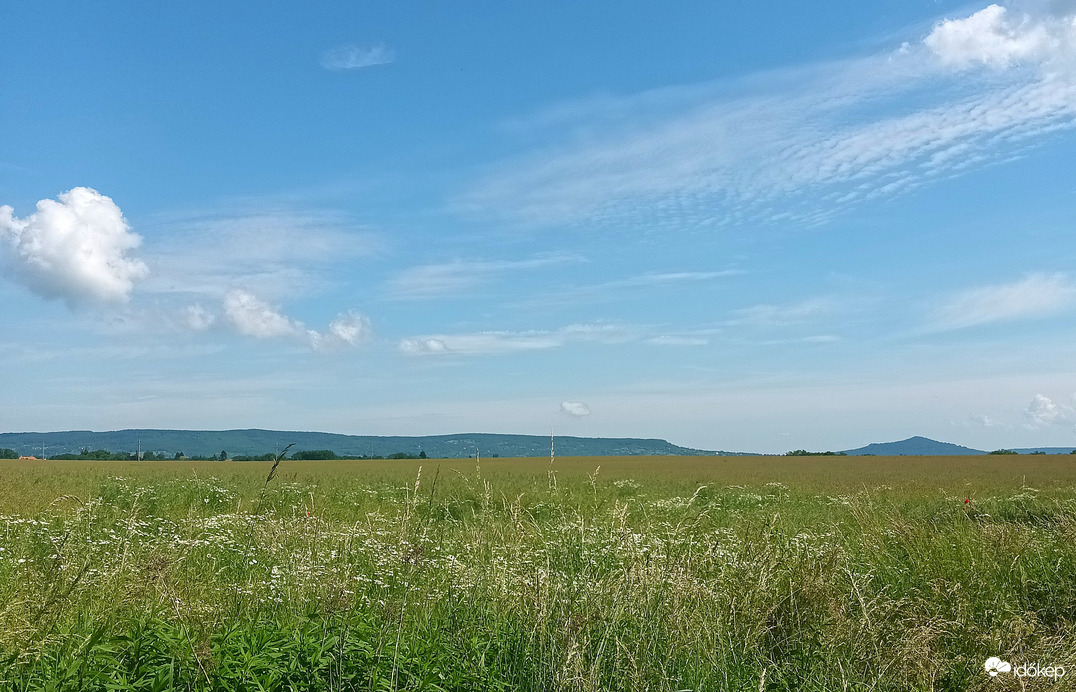 Across the field 