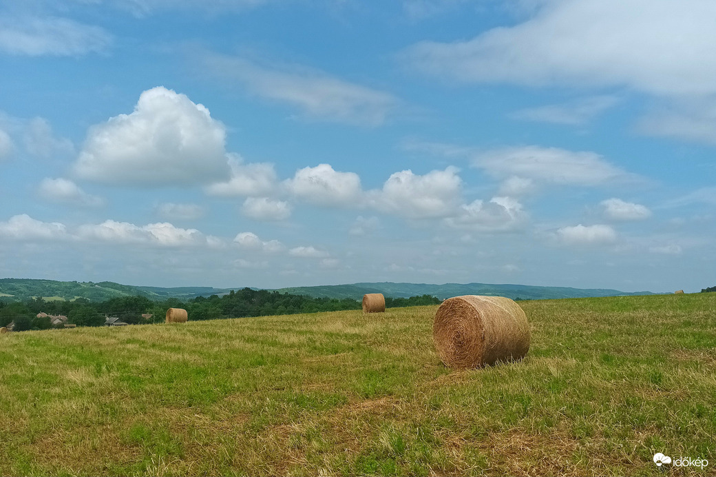 The farmer made hay