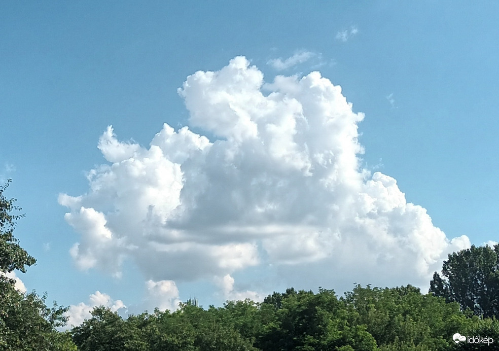 Cumulus clouds 17.06.2024