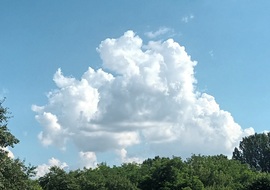 Cumulus clouds 17.06.2024